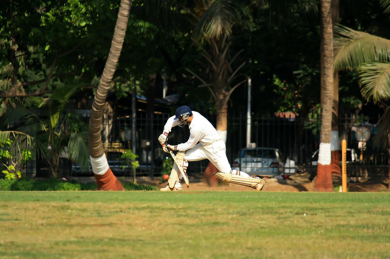 Cricket 19 Apk