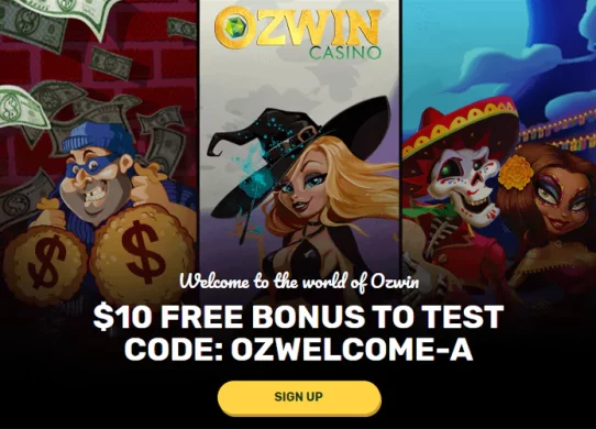 Ozwin website