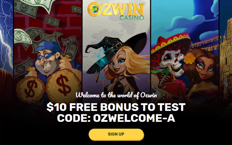 Ozwin website